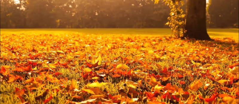 top-10-ways-to-relax-this-fall