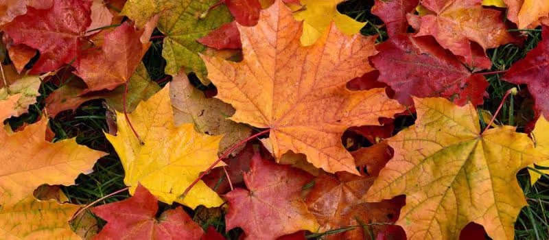 best-things-about-fall