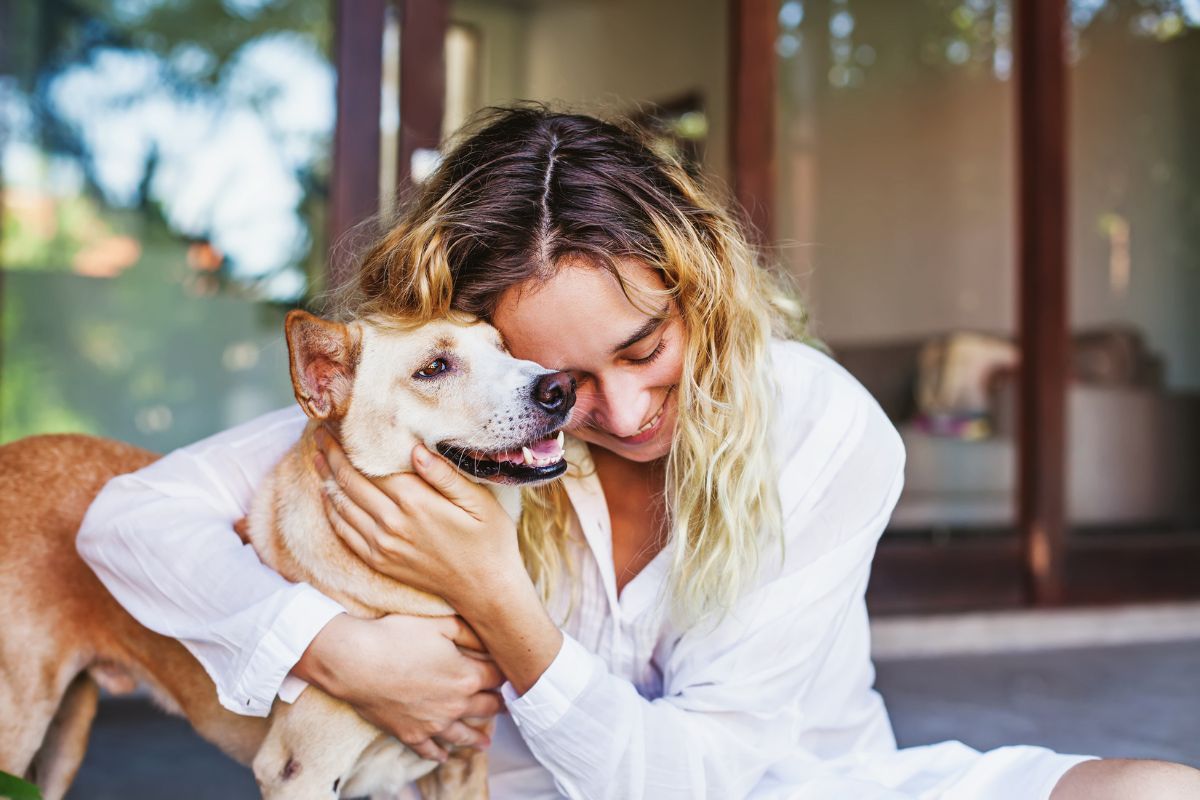 7-ways-to-celebrate-pet-day-with-your-furry-friends