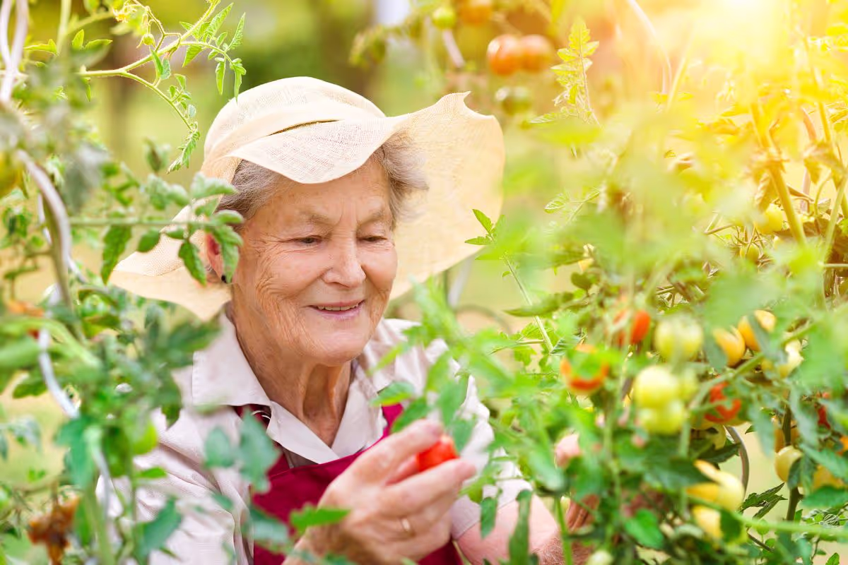 green-your-thumb-the-top-5-gardening-exercises-for-happy-and-healthy-seniors