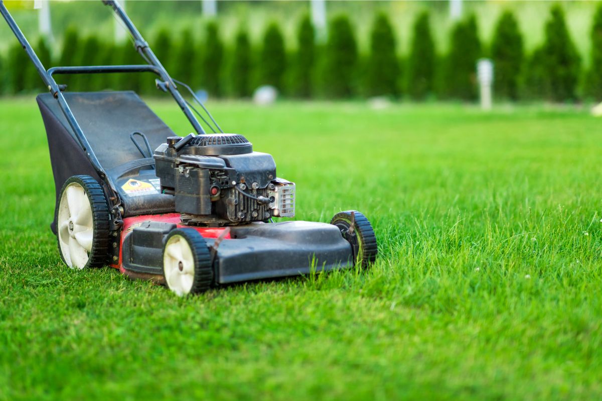 15-essential-tips-for-maintaining-a-healthy-lawn-during-summer-heat