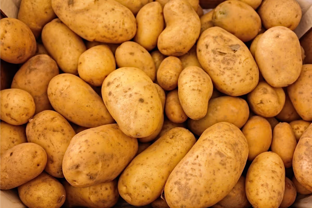 10-creative-potato-recipes-to-celebrate-potato-day
