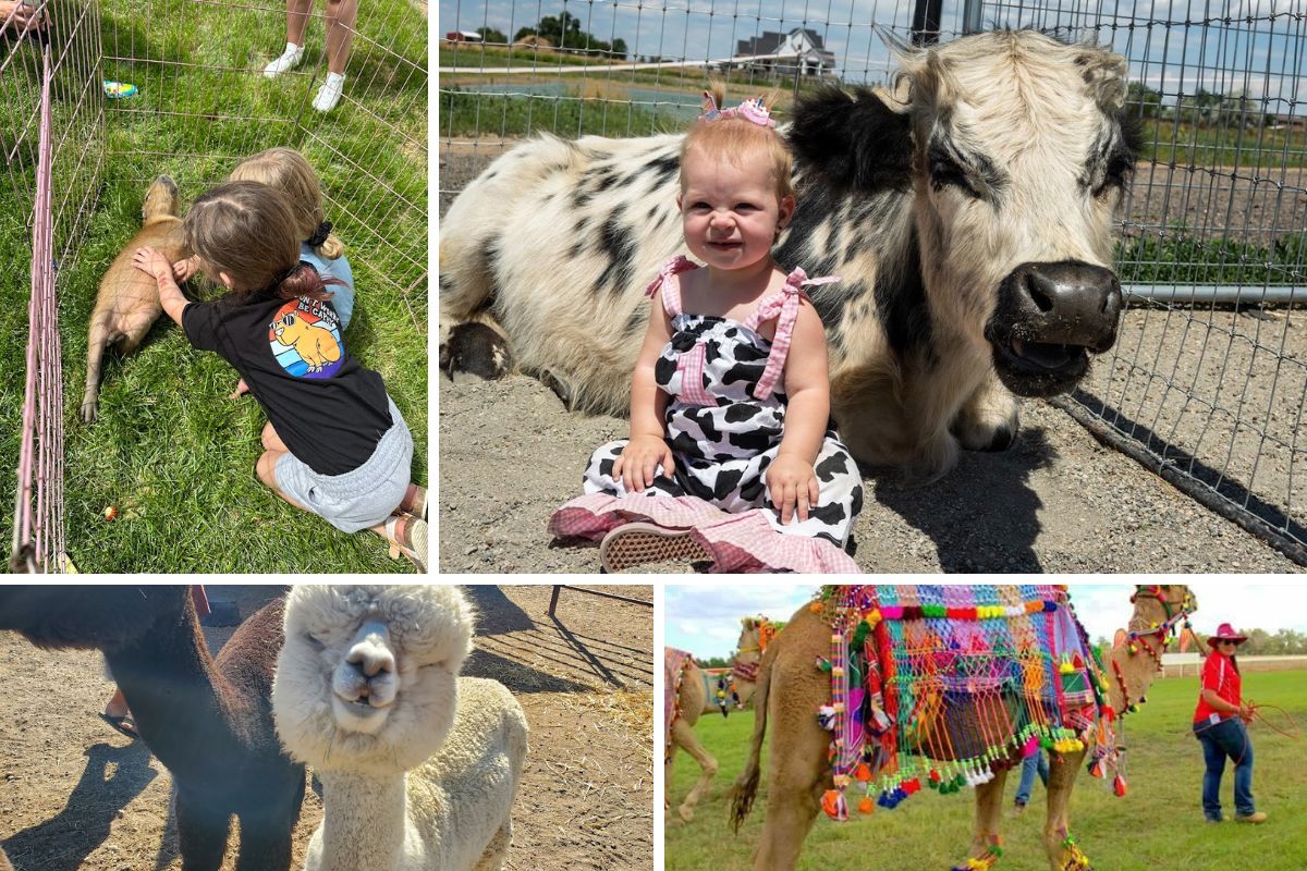 connecting-kids-with-wildlife-how-to-celebrate-world-farm-animals-day-with-the-getoutpass