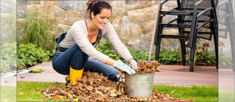 november-gardening-ideas