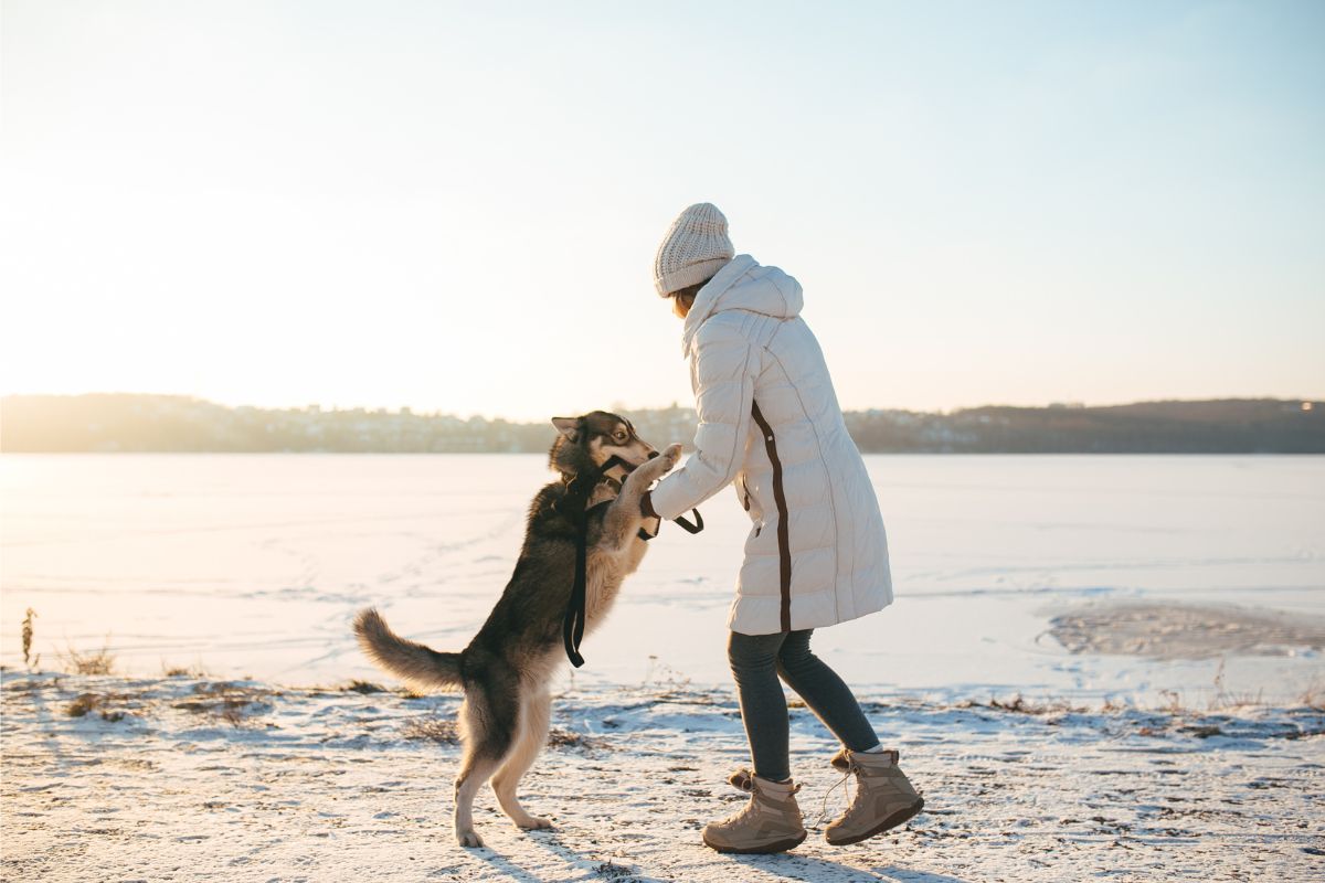 10-winter-activities-to-enjoy-with-your-pet-in-cold-weather