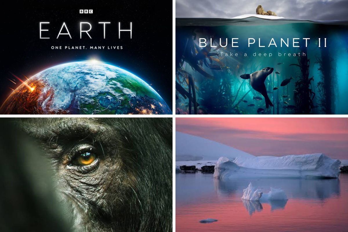 4-wildlife-documentaries-you-need-to-watch-right-now