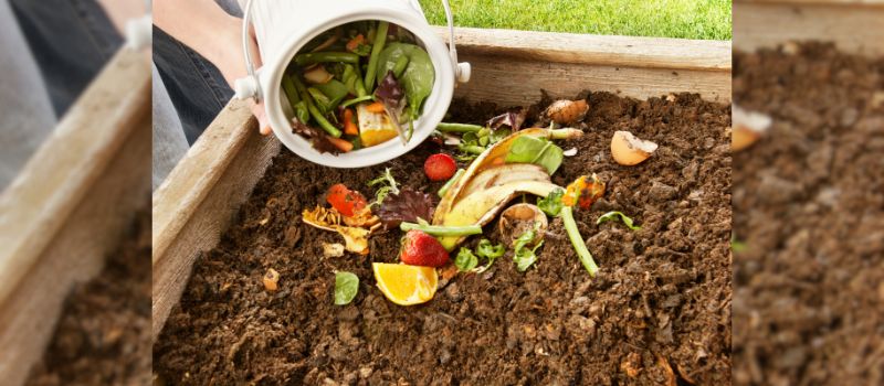 composting-101-a-beginners-guide-to-getting-started