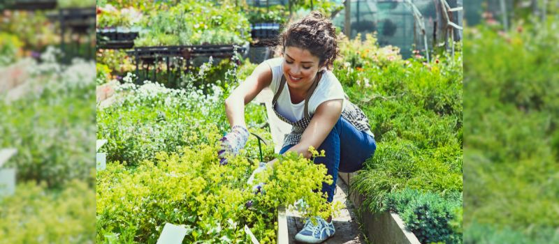 green-thumb-workout-10-ways-how-gardening-can-be-your-new-exercise-routine