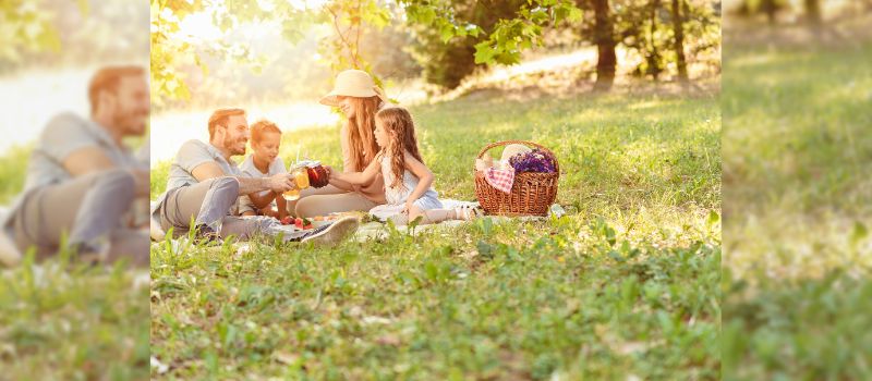 picnic-perfection-10-expert-tips-for-finding-the-best-spot-for-a-family-adventure