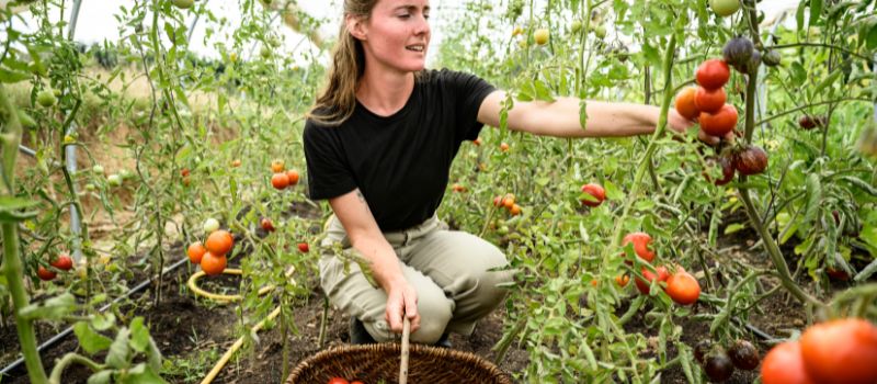 10-heartfelt-ways-to-honor-and-appreciate-unsung-farmworkers