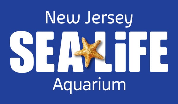 SEA LIFE New Jersey Aquarium