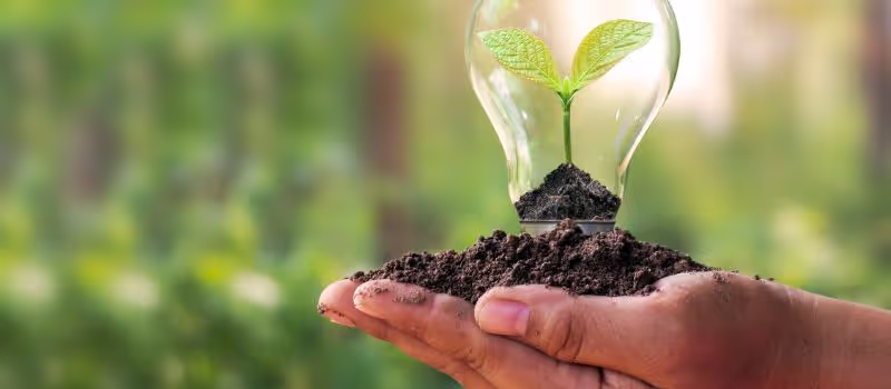 5-small-ways-to-help-wildlife-conservation-in-your-own-way