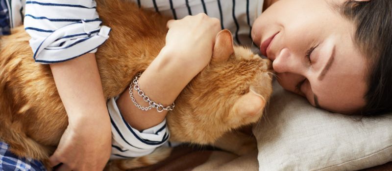 5-surprising-benefits-of-hugging-your-cat-every-day
